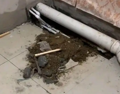 芦淞卫生间漏水检测哪家好