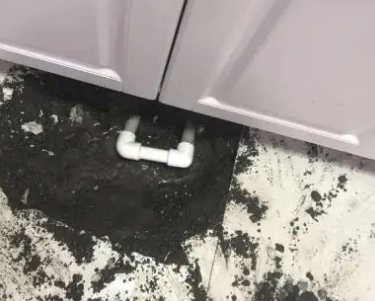 芦淞查漏水哪家好